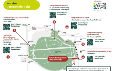 Perspektivwechsel – Tempelhofer Feld